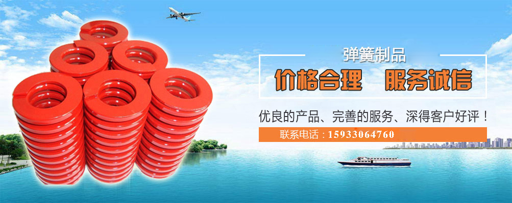 模具彈簧定(ding)做廠家